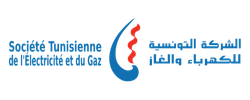 logo steg